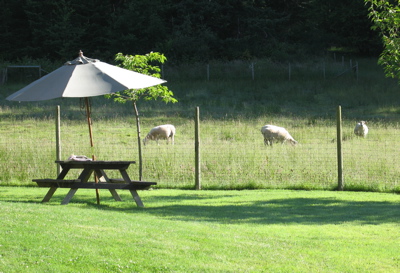 Picnic Table with Sheep